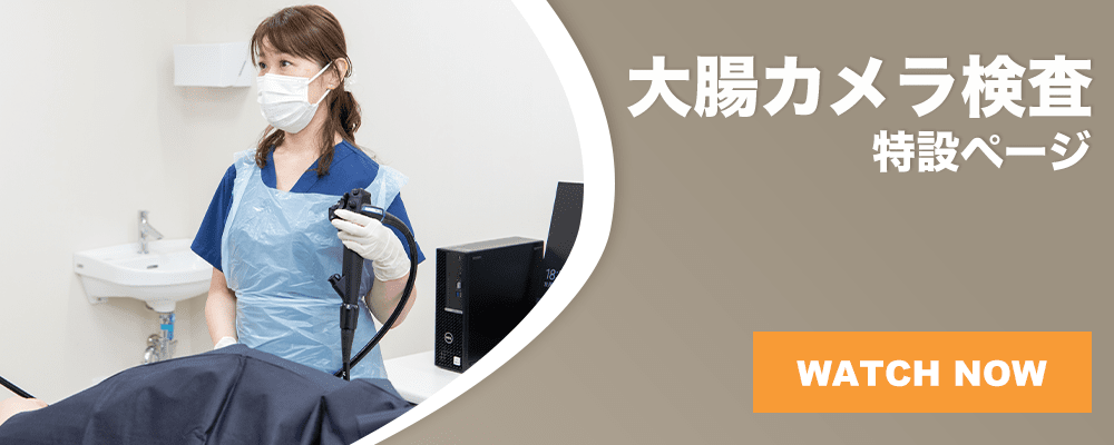 大腸カメラ検査特設ページ