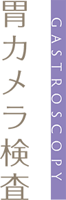 胃カメラ検査 GASTROSCOPY