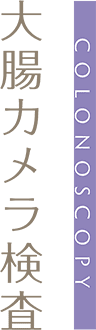 大腸カメラ検査 COLONOSCOPY